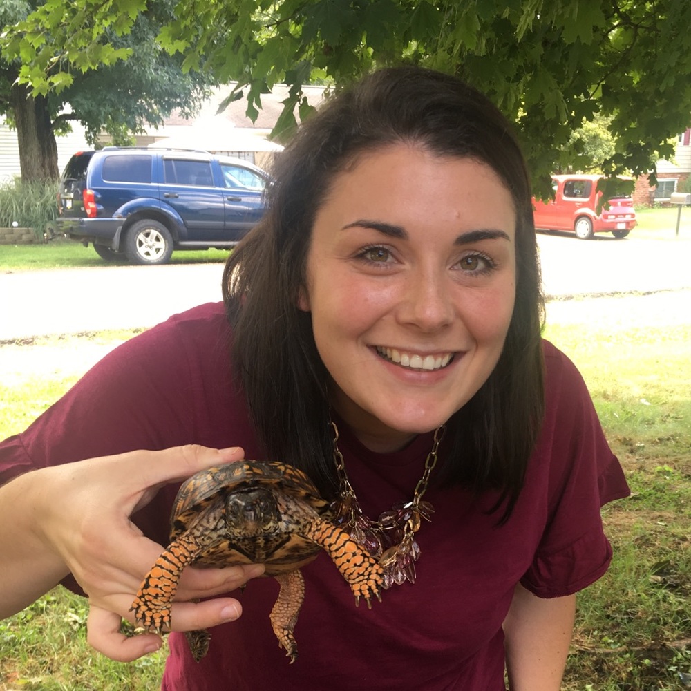 Meet your Posher, Lalauren